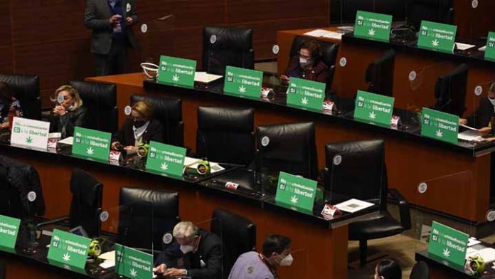 Ningún avance en la legalización del cannabis en México