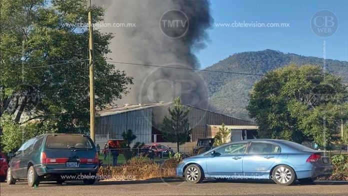 Hombres armados queman empacadora de aguacate en Tingüindín