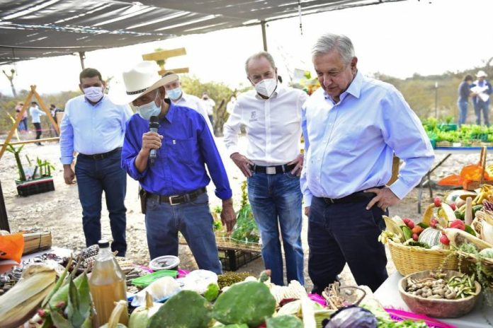 Funcionarios dan positivo a COVID-19 tras visita de AMLO a San Luis Potosí