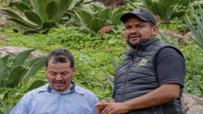 Municipios mezcaleros afectados por pandemia; buscarán reactivar al sector