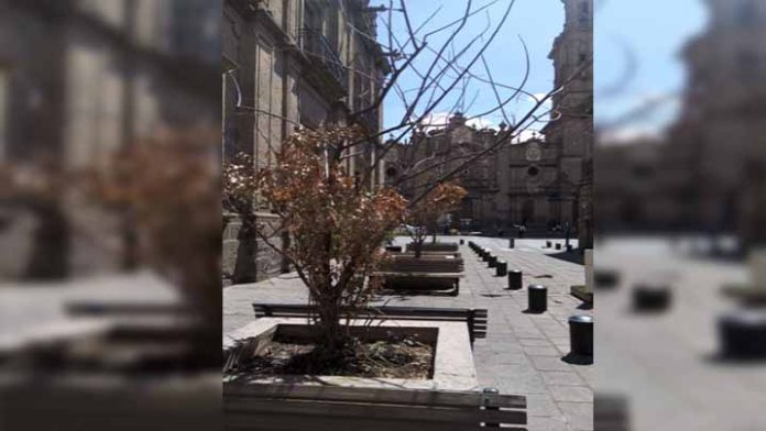 Altas temperaturas en algunas zonas de Michoacán, mientras que en otras se esperan heladas