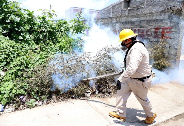 En Michoacán se tienen detectados 27 casos de dengue en 2021