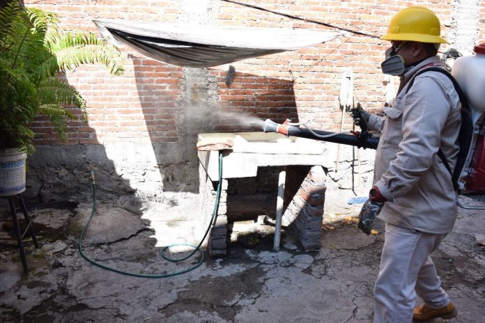 Michoacán con 18 casos positivos de dengue en 2021