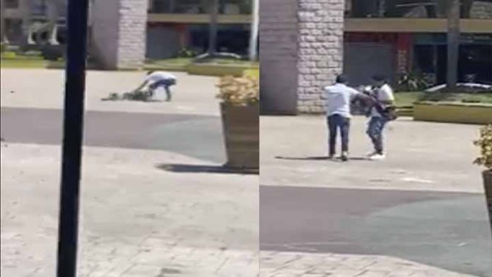 Con una red se roban las palomas del centro de Zacapu