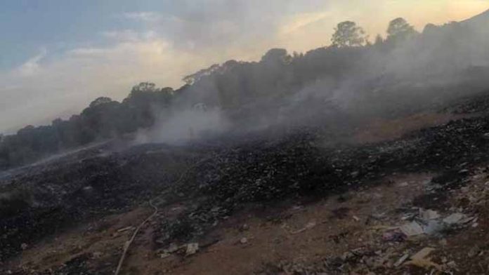 Celebramos el Día de la Tierra con más de 400 incendios forestales en Michoacán