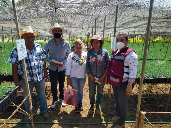 María Chávez se reúne con productores de Ziracuaretiro para presentar los ejes de su agenda legislativa