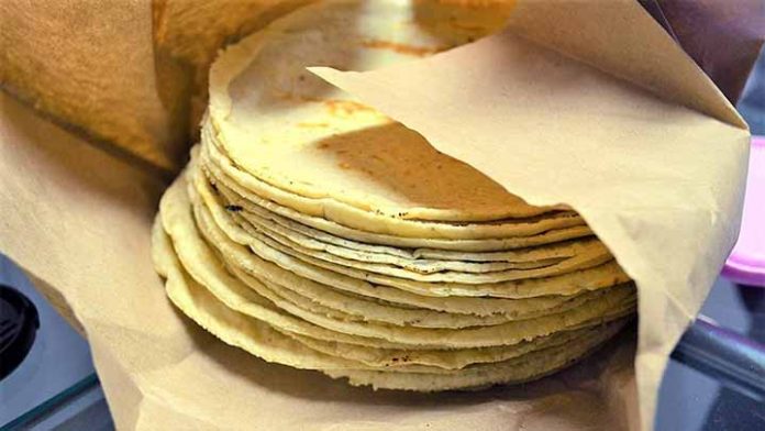 Costo de la tortilla podría aumentar en las próximas semanas