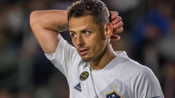 “Chicharito” no fue convocado a la selección, ¿Qué dijo Gerardo Martino?