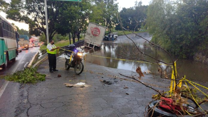 Tres árboles caídos saldo de la lluvia de esta tarde en Morelia