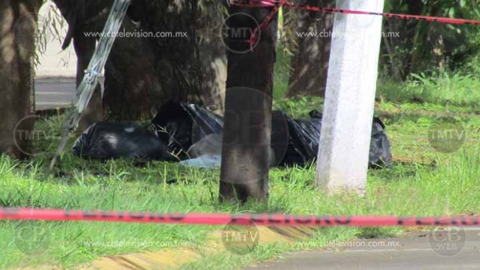 A un hombre lo matan, descuartizan, embolsan y tiran en Zamora