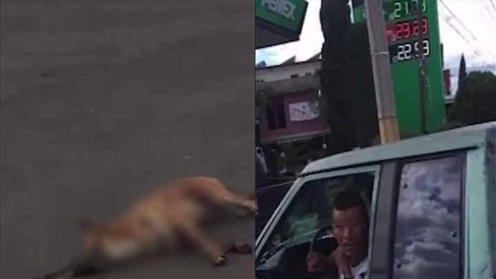 Denuncian a hombre arrastraba a un perrito amarrado a su camioneta Denuncian a hombre arrastraba a un perrito amarrado a su camioneta