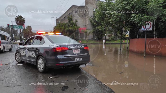 aguaa