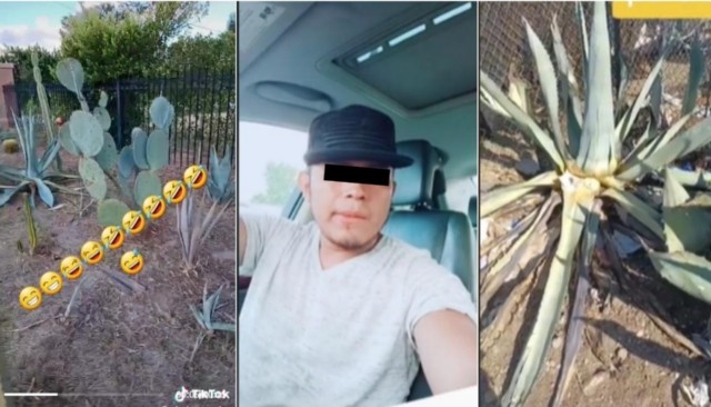 extranjero_se_burla_de_los_mexicanos_por_comer_nopales_crop1634050860198.jpg_258445644