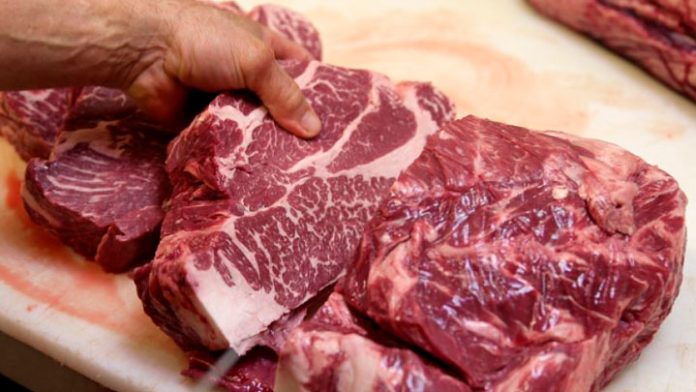Carne de caballo