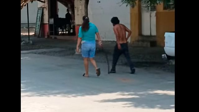 2021-12_d33_jpeg