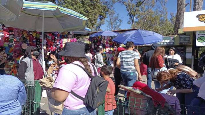 Morelianos trasladan festejos de Año Nuevo al zoológico