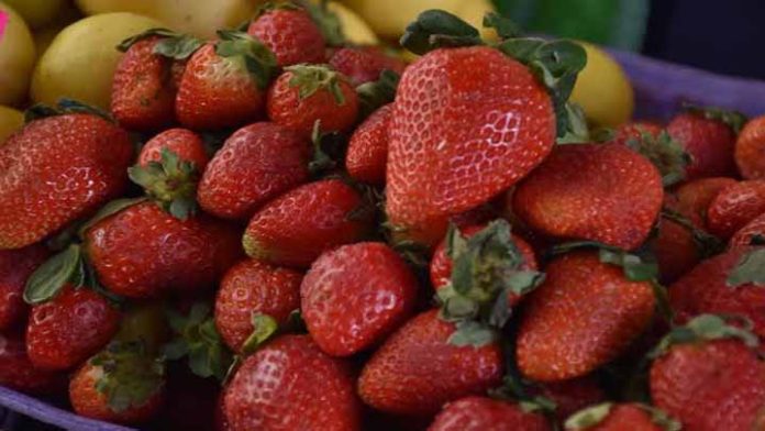 Inflación golpea el precio de la fresa que continúa a la alza