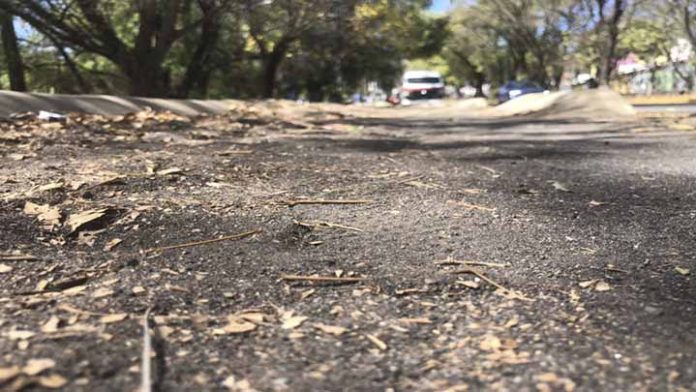 Denuncian ciudadanos falta de mantenimiento de ciclovía en Madero Poniente