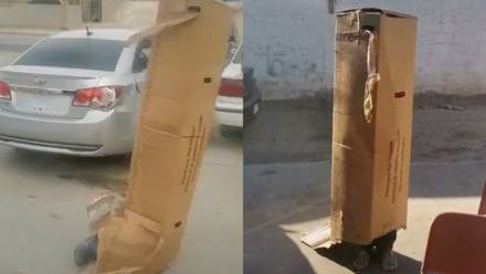 Chico caja