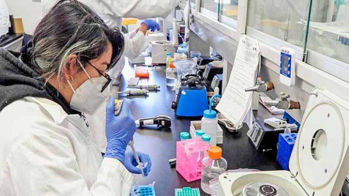UNAM crea biosensor para detectar Covid-19