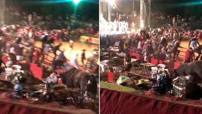 Jaripeo clandestino habría sido organizado por Normalistas