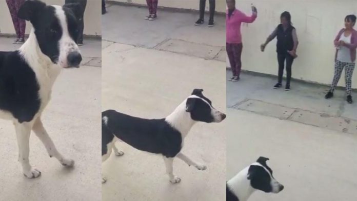 https://www.tiktok.com/@tik_toc_73/video/7086125504427756805?is_from_webapp=1&sender_device=pc&web_id=7078082127438611973