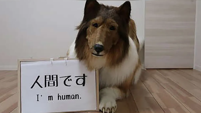 Hombre se vuelve viral al compartir fotos de su transformación a perro