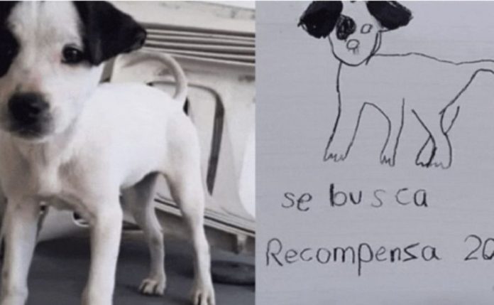Dos niñas de 7 y 6 años