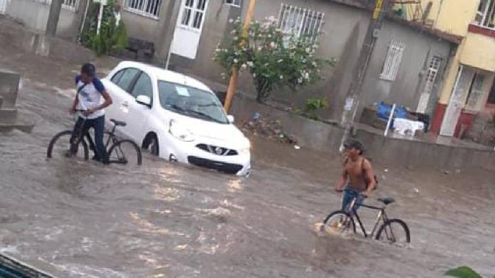 Agatha trajo consigo deslaves, caída de árboles, corte de energía eléctrica, en al menos cuatro municipios de Oaxaca