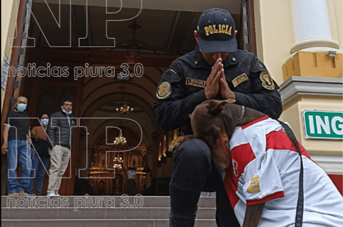 Perrito es captado rezando afuera de una iglesia