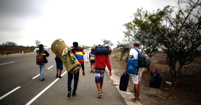 Migrantes
