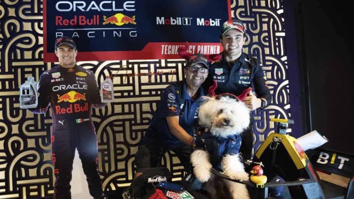 Perrito fan de la F1 conoció a su ídolo el Checo Pérez