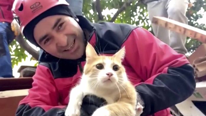 Joven atrapado entre los escombros en Turquía pide salvar primero a su gato