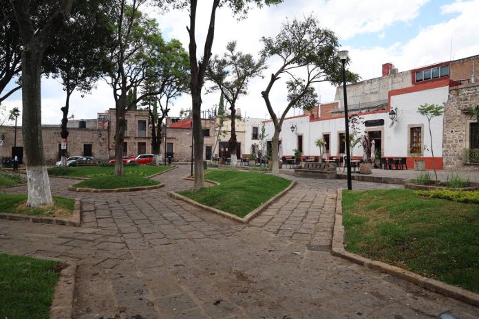 Jardín de la Soterraña, más verde y vivo que nunca