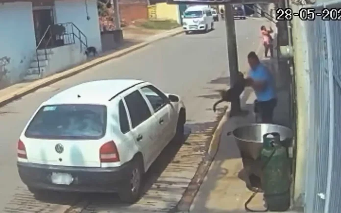 Sujeto arroja a perro de la calle a un caldero de aceite hirviendo luego de supuesta riña