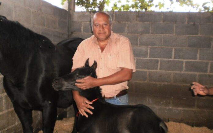 Muere tras atentado en EdoMex defensor del agua y la agrología