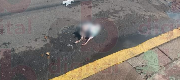 Se han visto trabajos de santería con animales muertos en cruces de Morelia