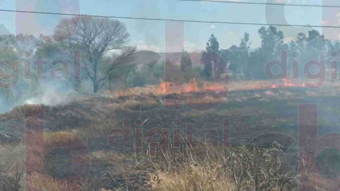 Los incendios forestales también dejan residuos que al respirarlos se convierten en diferentes enfermedades