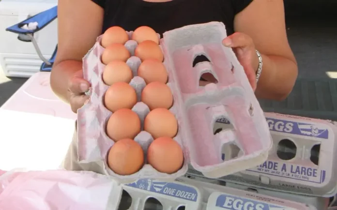 Docena de huevos alcanza cifra récord en EE.UU.