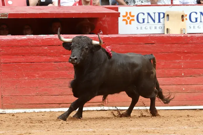 La propuesta pacífica para la corrida de toros
