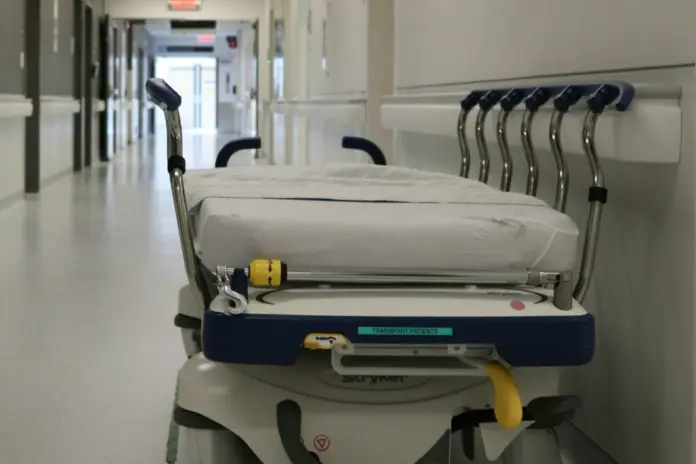 Se detectan 6 casos de miasis humana por el gusano barrenador