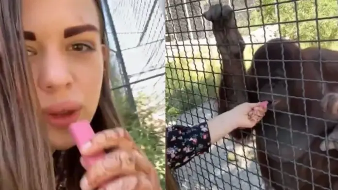 #Video: Boxeadora causa indignación en redes sociales al obligar a un orangután en peligro de extinción a fumar
