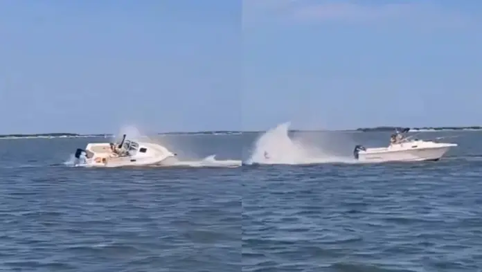 #Video: Ballena choca contra barco en Nueva Jersey y muere