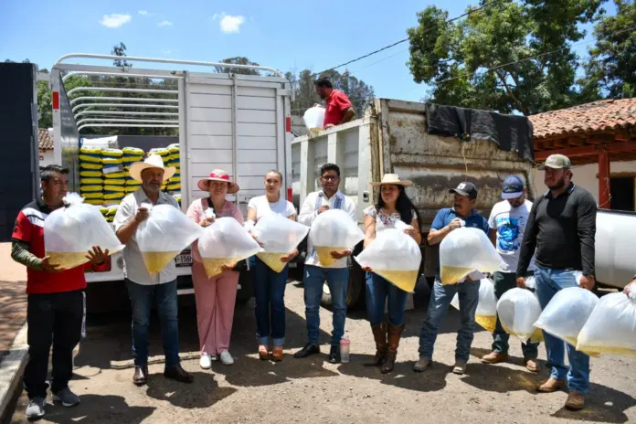 Julio Arreola: servir es estar presente donde más se necesita, en cada comunidad